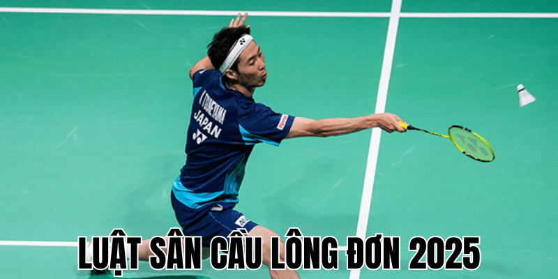 Luật Sân Cầu Lông Đơn 2025